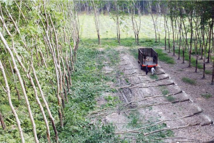 Ảnh giải phóng mặt bằng àm cao tốc TP.HCM - Thủ Dầu Một - Chơn Thành