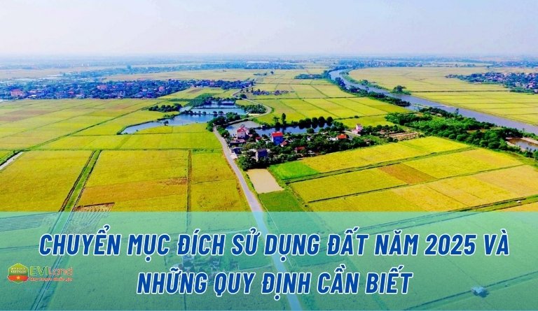 Chuyển đổi mục đích sử dụng đất năm 2025 và những quy định cần biết