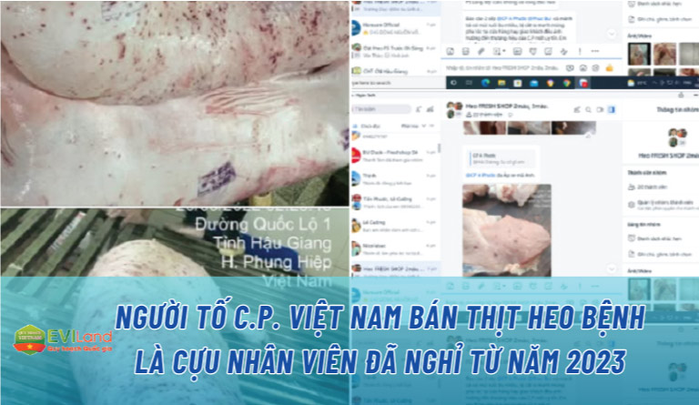 Người tố C.P. Việt Nam bán thịt heo bệnh là cựu nhân viên đã nghỉ từ năm 2023