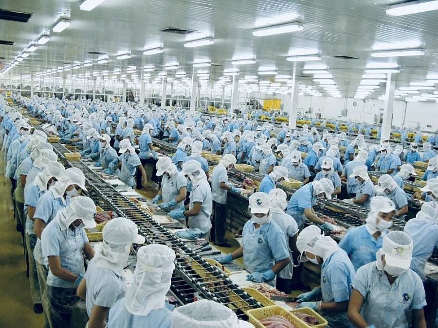 Lực lượng lao động tại Long An tham gia sản xuất tại các khu công nghiệp lớn